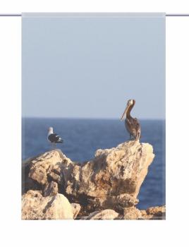 Preview: Scheibenhänger Die zwei rechteckig